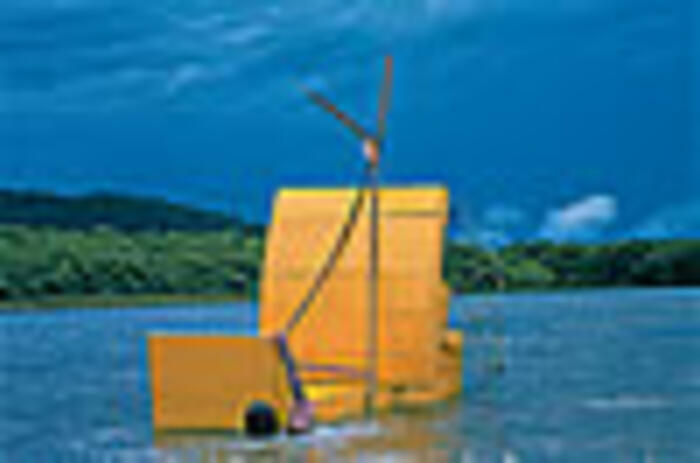 Reviews- 2004 São Paulo Biennial