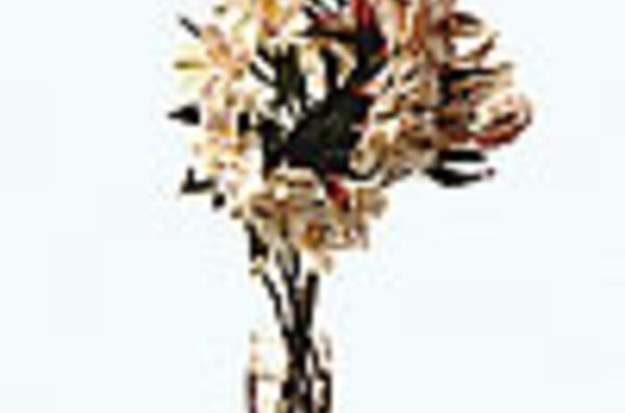 Reviews - Sandra Valenzuela: Air Conditioning