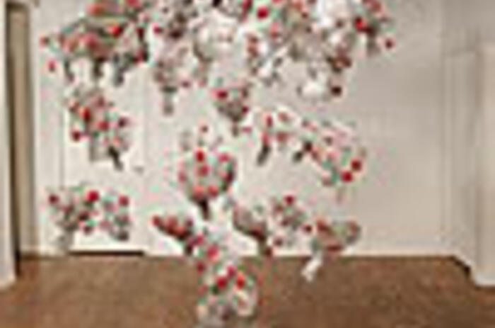 Reviews - Sylvia Riquezes