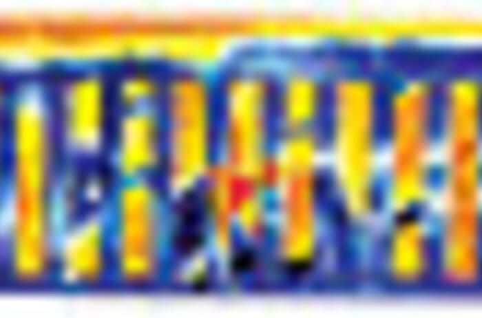 REVIEWS  - PATRICIA VAN DALEN