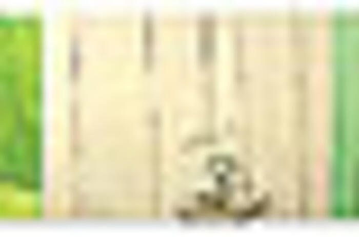 REVIEWS  - RABINDRANAT DIAZ