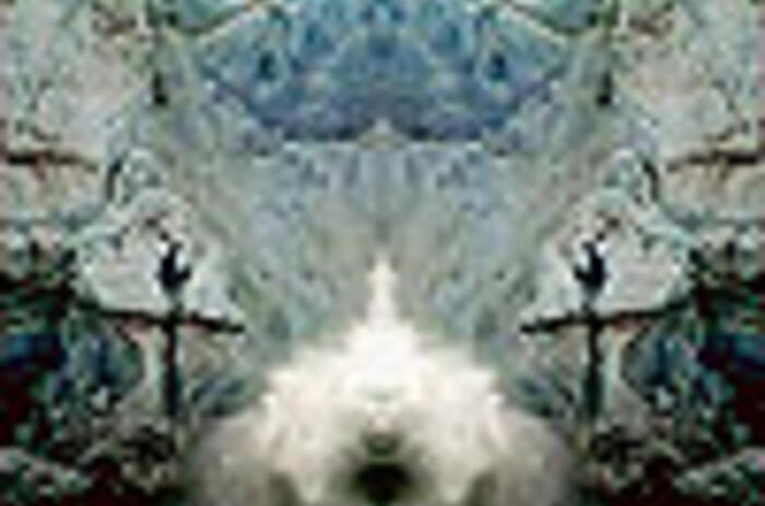 REVIEWS - NAN GONZÁLEZ