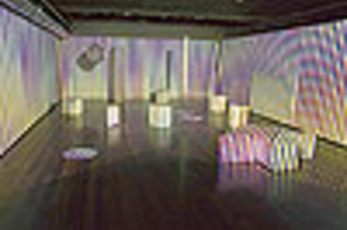 REVIEWS - LIFE IN THE COLORS OF CARLOS CRUZ-DIEZ