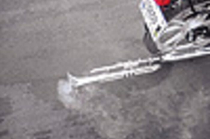 JENNIFER ALLORA & GUILLERMO CALZADILLA