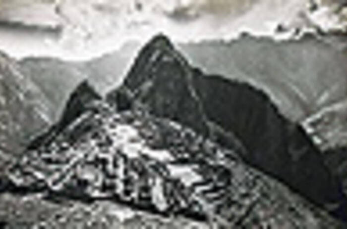 REVIEWS - MARTÍN CHAMBI