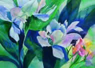 "Mariposa. The colors of white", watercolor on paper, 30" x 40"