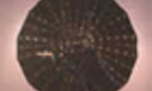 Entrevista a Rosa de la Cruz