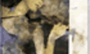 María Paz Valdivieso