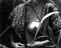 "Fruta prohibida", plata sobre gelatina, 20 x 25 cm, 1976