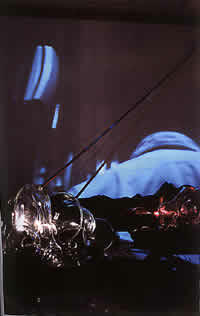 TUNGA LUCIDO, "Negredo", 1998, Técnica mixta, Andre Millan Gallery, San Pablo