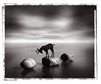 Francisco Larios, Untitled (from the series Dreams and Revelations), 2002 Chromogenic print based on archived digital Ed. Of 6. Courtesy: Nina Menocal, Mexico City